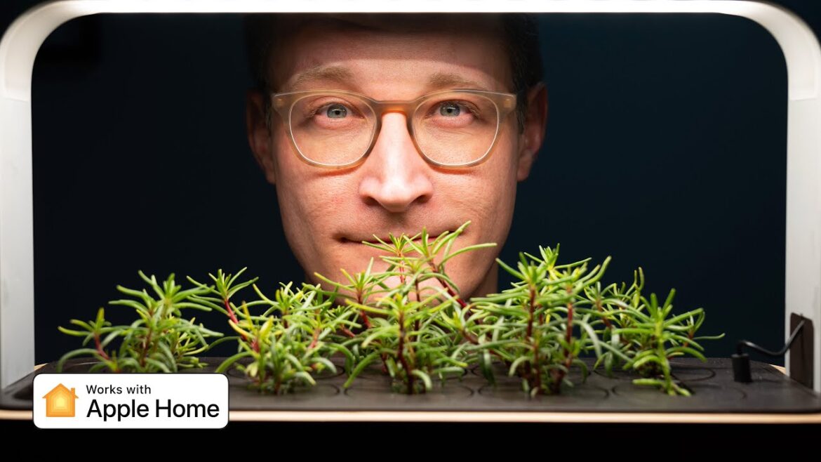 Is indoor gardening with Apple Home easy? – ēdn Small Garden Is indoor gardening with Apple Home easy? - ēdn Small Garden