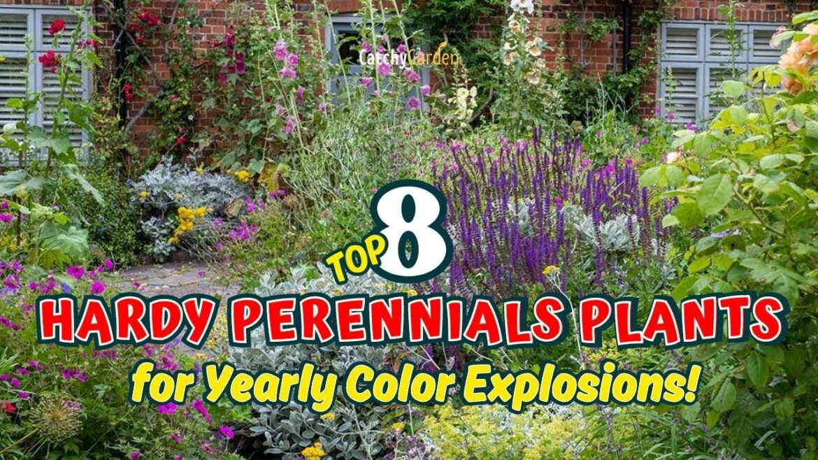 Top 8 Hardy Perennials for Yearly COLOR EXPLOSIONS!πΊππΌ // Gardening Ideas Top 8 Hardy Perennials for Yearly COLOR EXPLOSIONS!πΊππΌ // Gardening Ideas