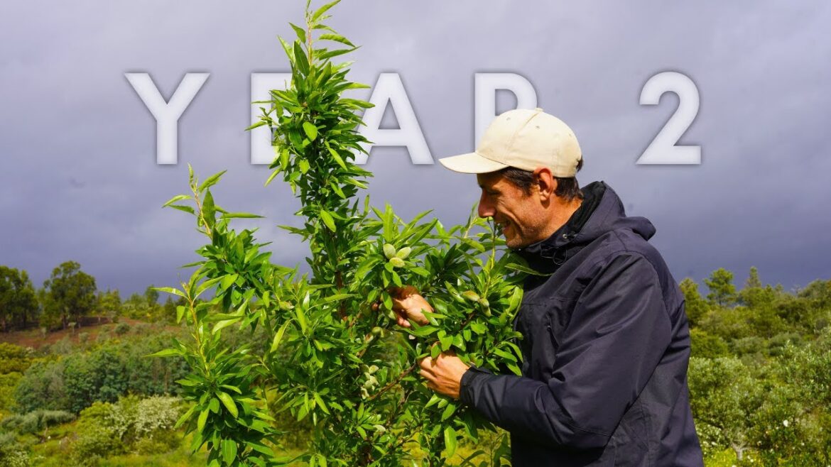 2 years ago we planted an edible forest