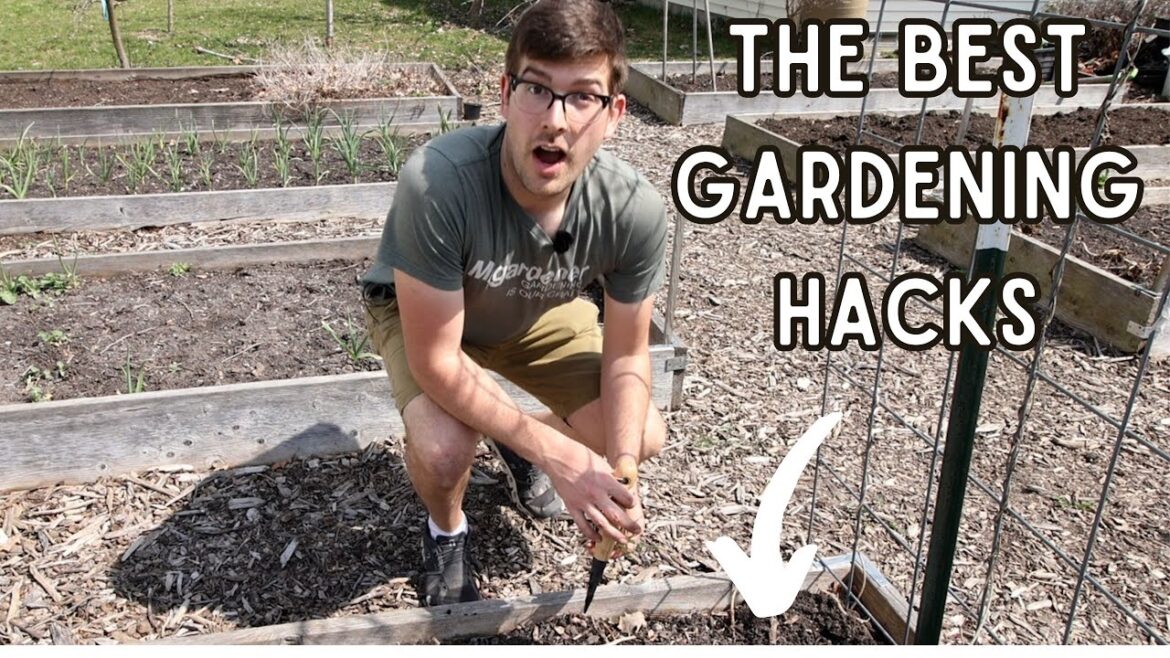MIgardener: These 5 Garden Hacks Where GAME CHANGERS For Me! These 5 Garden Hacks Where GAME CHANGERS For Me!