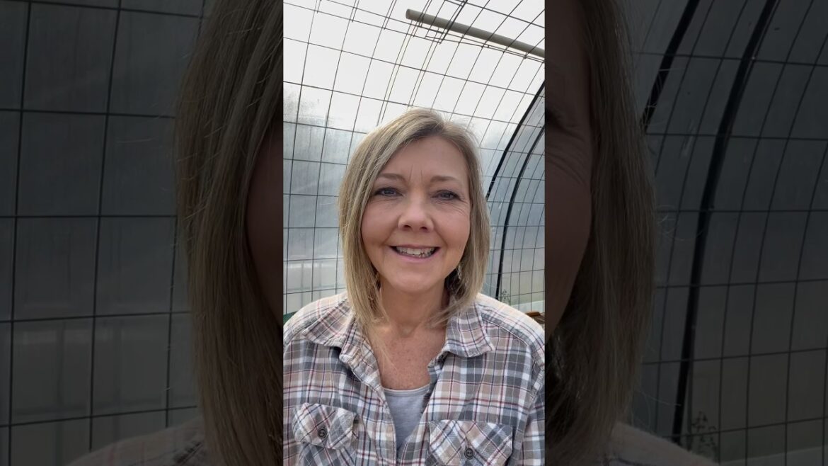 Top 10 Seed Starting Supplies #seeds #potager #garden #gardening Top 10 Seed Starting Supplies #seeds #potager #garden #gardening