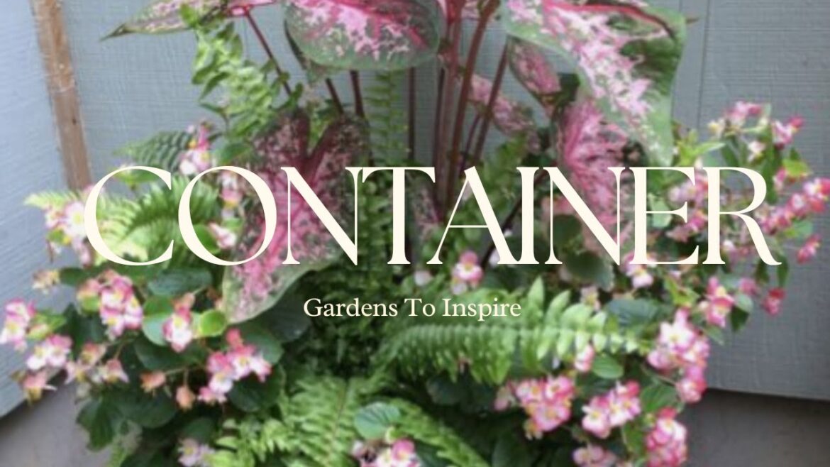 | 50+How Container Gardens to Inspire | Style a Thriving Container Garden