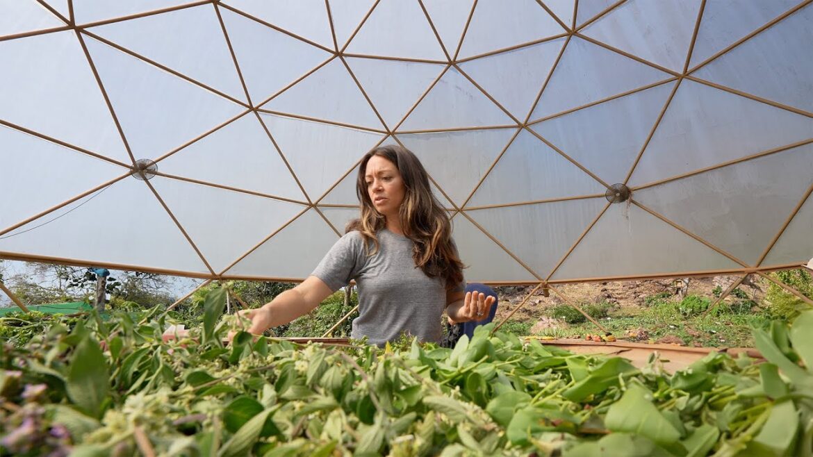 Living in an ORGANIC EDIBLE GARDEN in Costa Rica | Full Tour in Our Eco Village