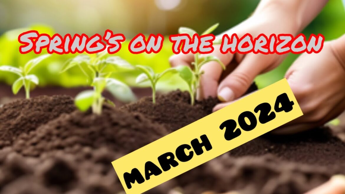 2024 Allotment Vegetable Gardening Preparation|Allotment gardening uk