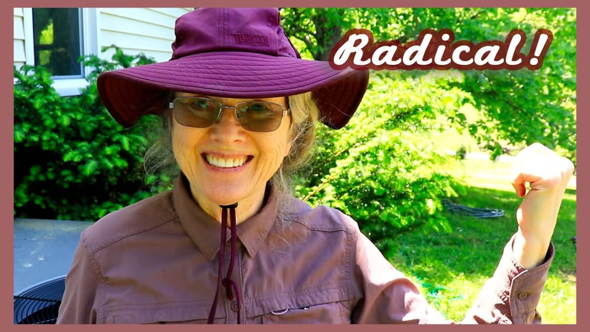 Earth Day Appreciation | Flowers, Compost, Cats! (+ a Radical Idea!)