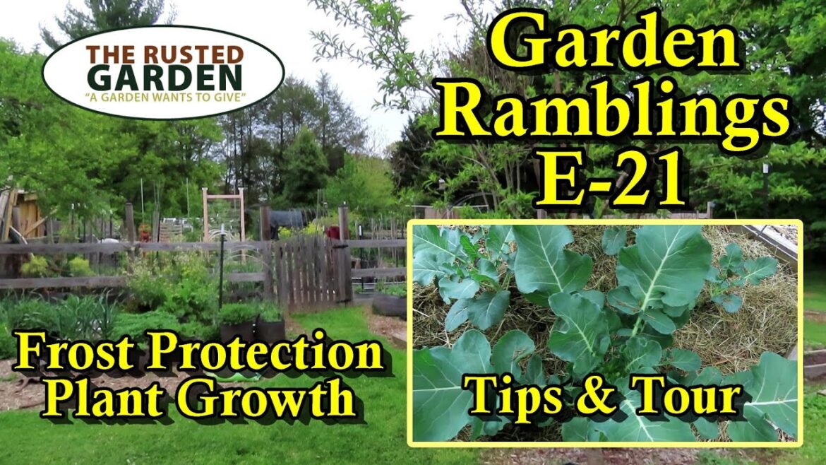 Gary Pilarchik: Plant Growth, Frost Care, Slow Bolting, Greenhouse Transplants: Garden Ramblings Tips & Tour E-21 Plant Growth, Frost Care, Slow Bolting, Greenhouse Transplants: Garden Ramblings Tips & Tour E-21