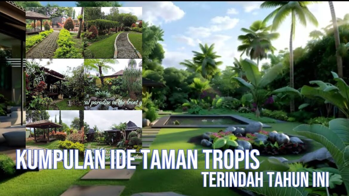 collection of backyard garden ideas | DIY garden: front, back, cheap & simple tropical collection of backyard garden ideas | DIY garden: front, back, cheap & simple tropical