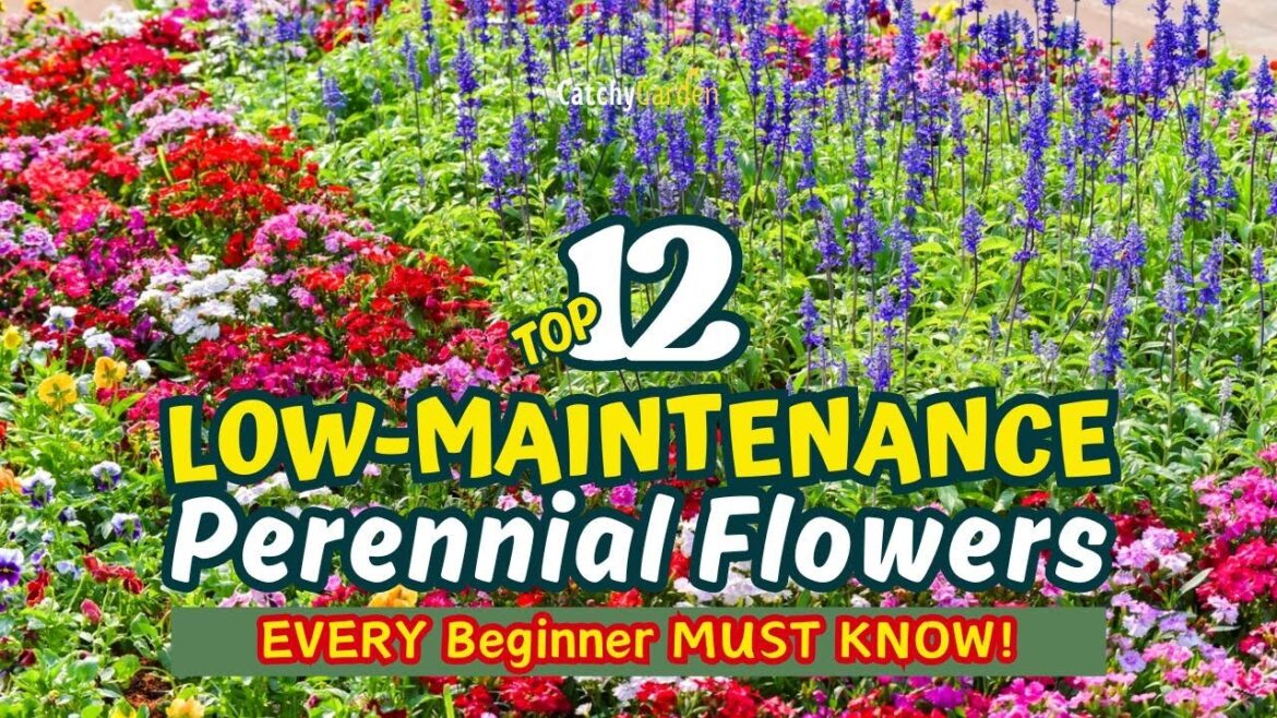 Top 12 LOW-MAINTENANCE Perennial Flowers EVERY Beginner MUST KNOW! 🌸🚀🌼 // Gardening Ideas