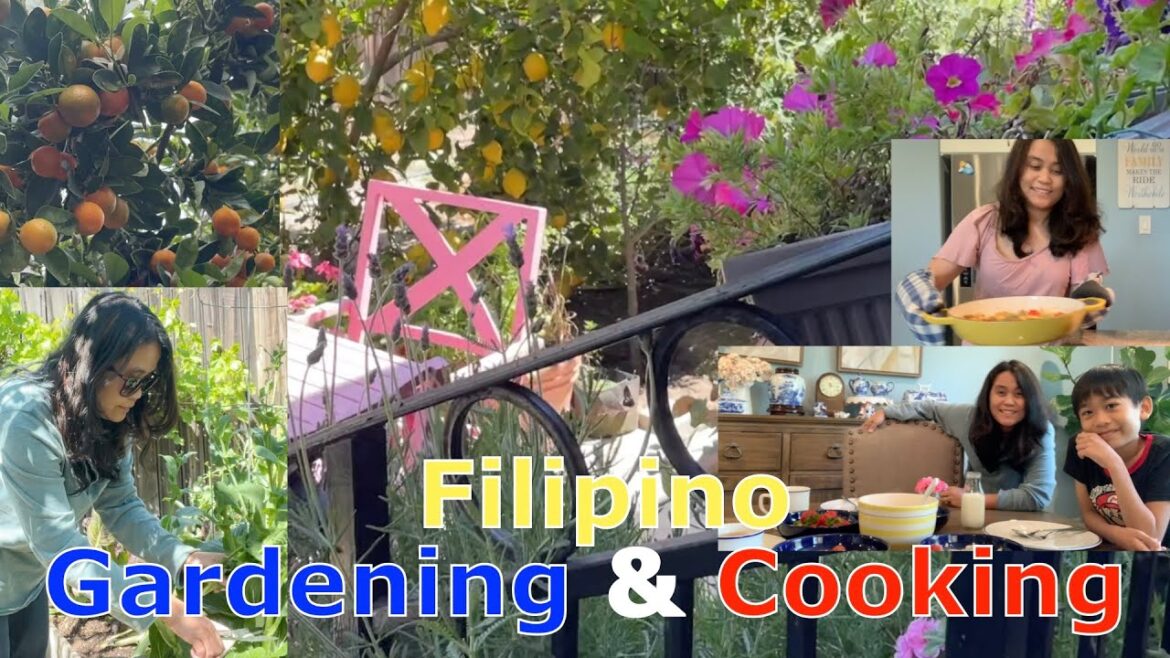 Filipino Vegetable Garden and Cooking #gardening #vegetablegarden #harvest #pinoyfood