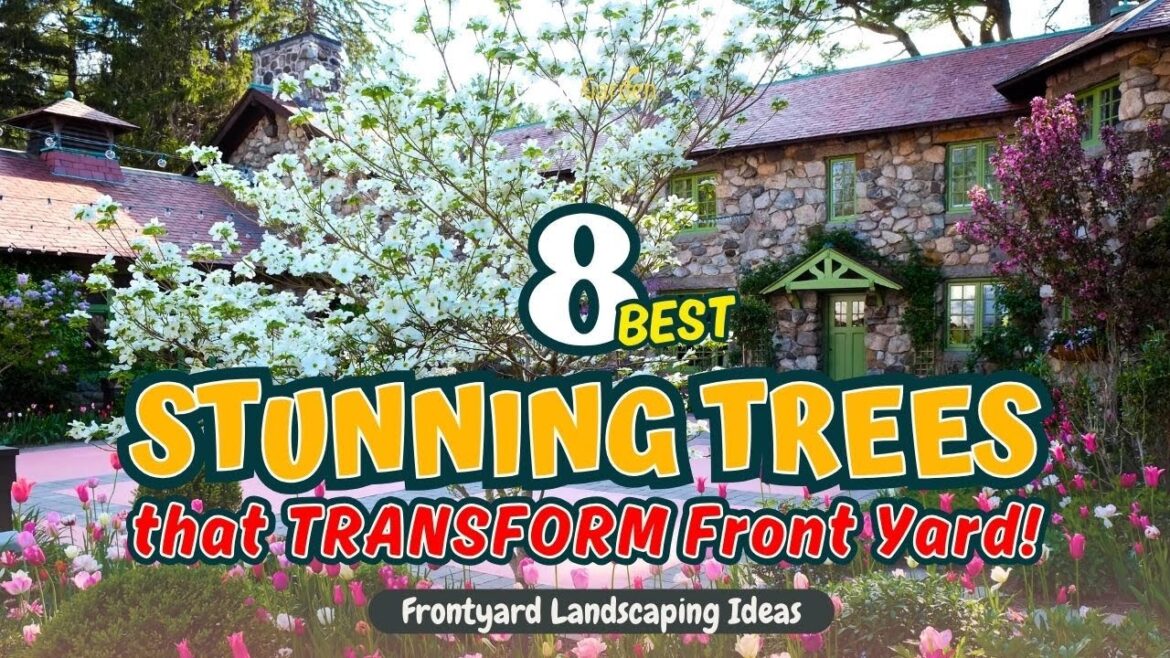 8 BEST TREES That TRANSFORM Your Front Yard! ๐ก๐๐ณ // Gardening Ideas 8 BEST TREES That TRANSFORM Your Front Yard! ๐ก๐๐ณ // Gardening Ideas