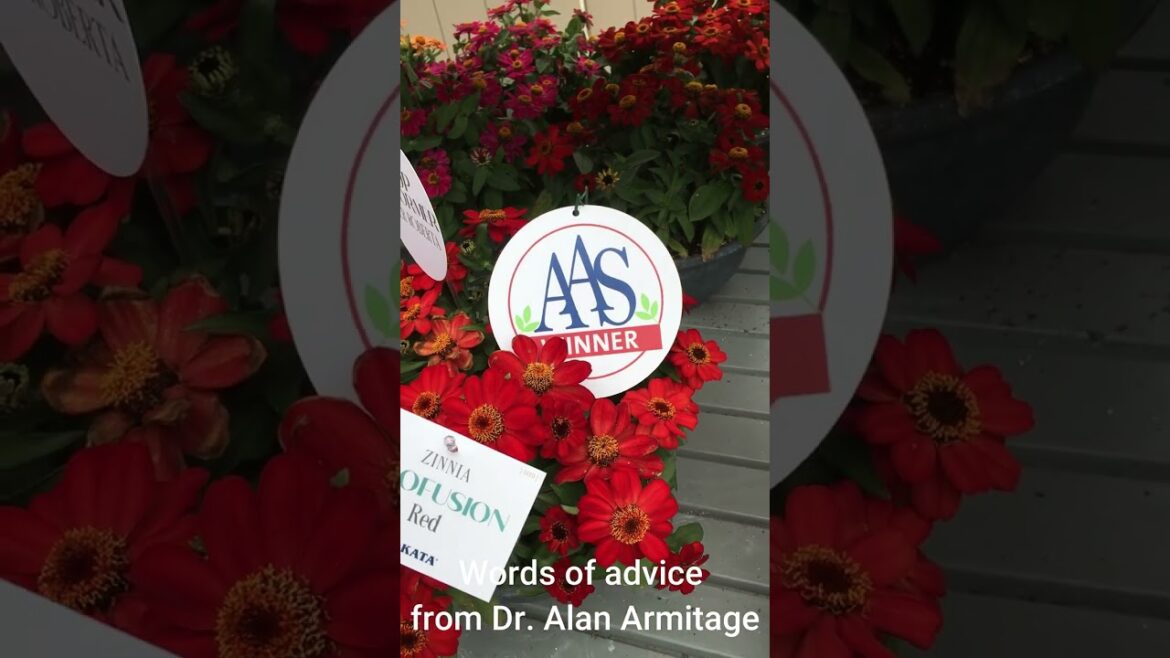 Alan Armitage on AAS