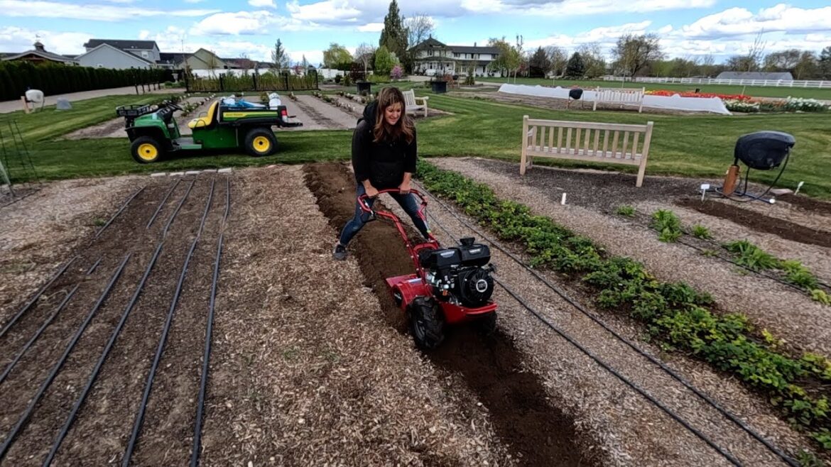 Garden Answer: Delivering Tulip Bouquets, Raised Bed Tour & Potato Bed Prep! 💐🌿🥔 // Garden Answer Delivering Tulip Bouquets, Raised Bed Tour & Potato Bed Prep! 💐🌿🥔 // Garden Answer
