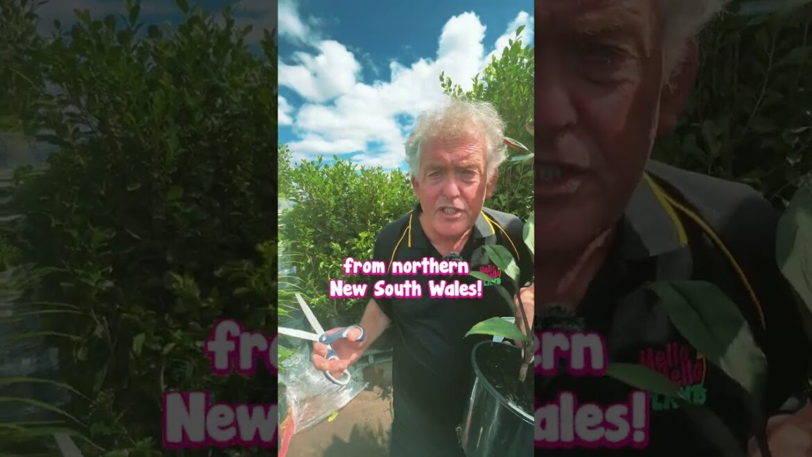 Easter Weekend Sale - SO MUCH incoming stock!! 🐰🐣