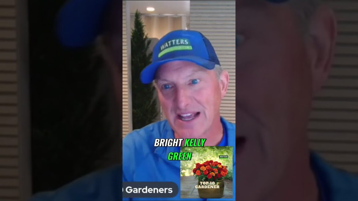 Experience the Beauty of Spring