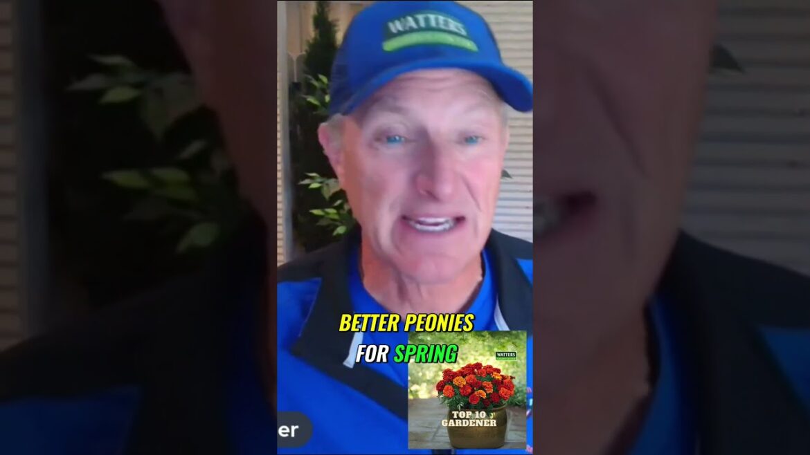 Expert Tips for Growing Thriving Plants