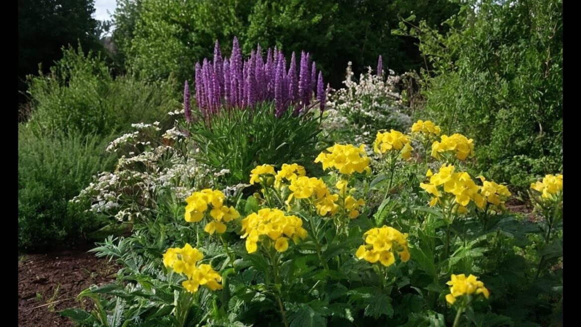 Edible Perennials: Plant Once, Enjoy for Years to Come