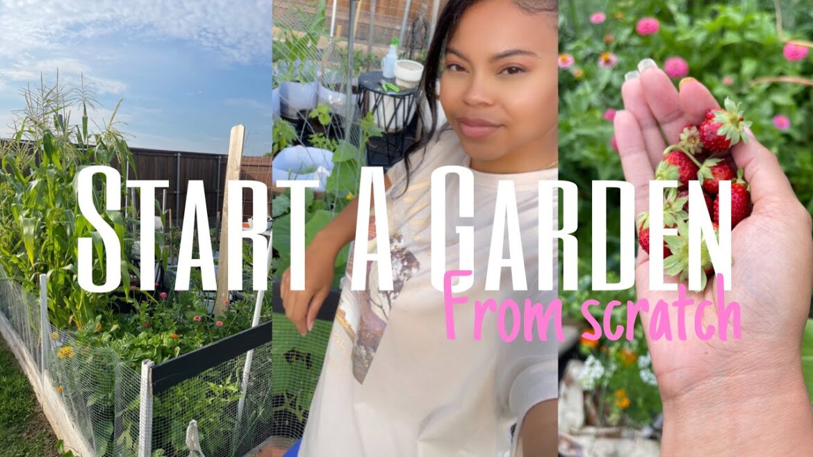 How To Start A Garden Today | Beginner Gardener Tips How To Start A Garden Today | Beginner Gardener Tips