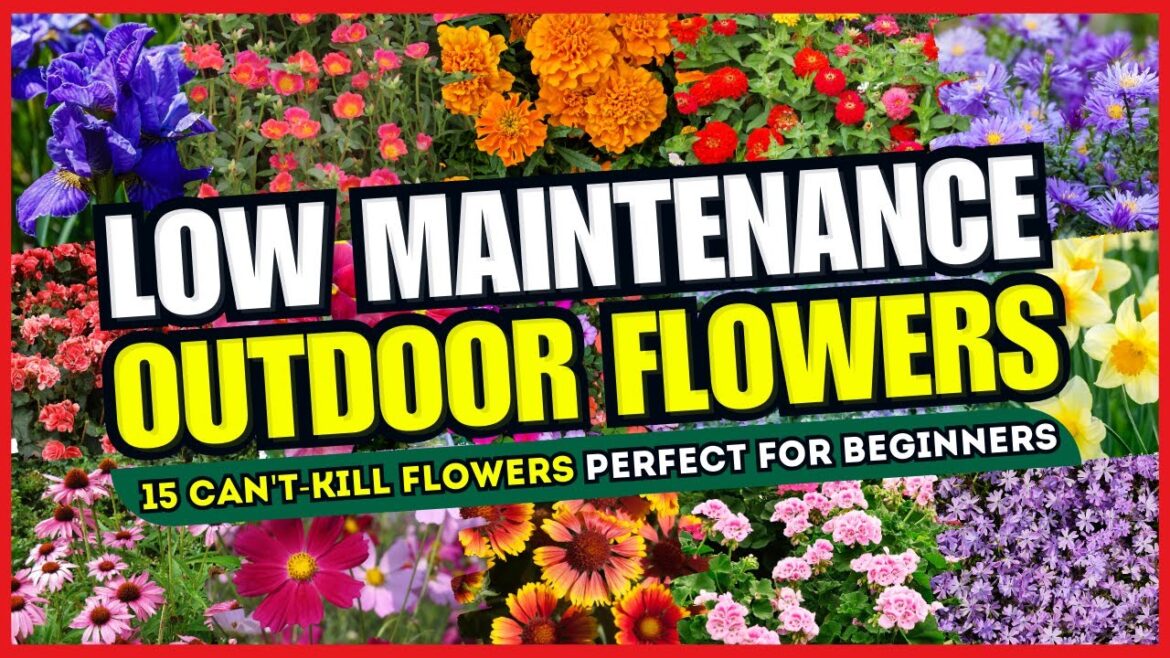 😱 Top 15 Can't-Kill Flowers Perfect for BEGINNERS 💪 LOW MAINTENANCE Flowers Outdoor! ✨💚