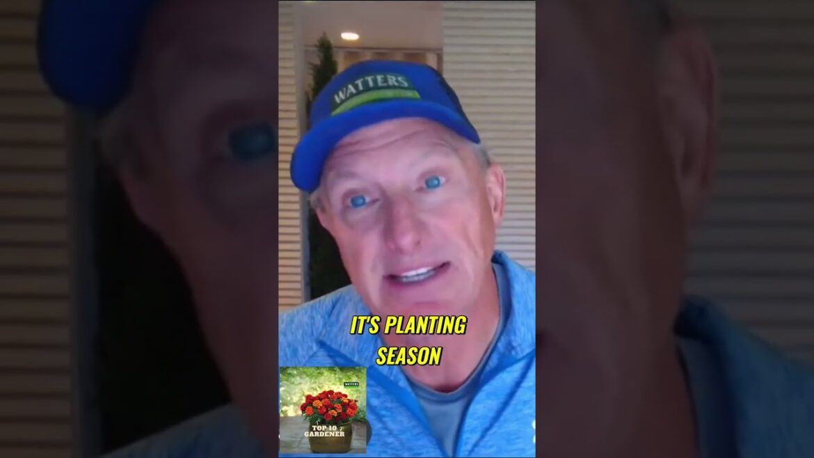 The Ultimate Guide to Spring Gardening The Ultimate Guide to Spring Gardening