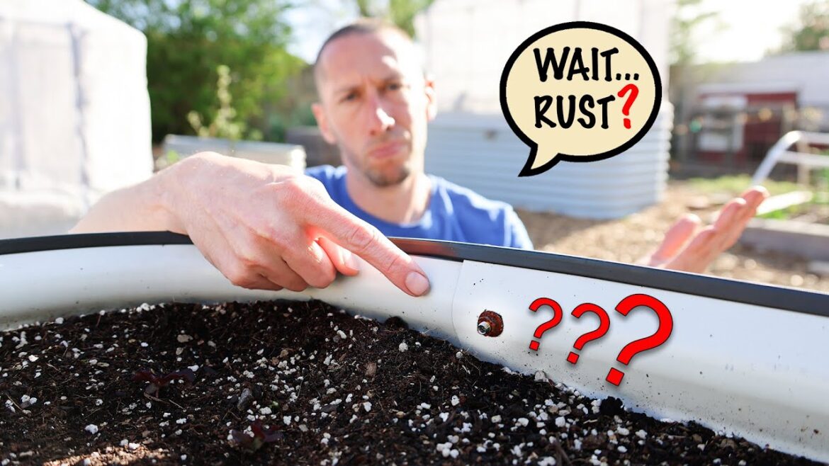 James Prigioni: The Ugly Truth about Raised Beds… The Ugly Truth about Raised Beds...