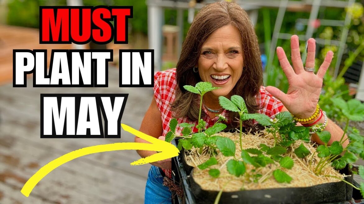 CaliKim: May’s 5 MUST-PLANT Crops: For Any Climate May’s 5 MUST-PLANT Crops: For Any Climate