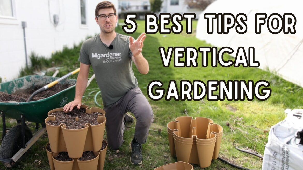 MIgardener: Do These FIVE Things For Vertical Gardening Success! Do These FIVE Things For Vertical Gardening Success!