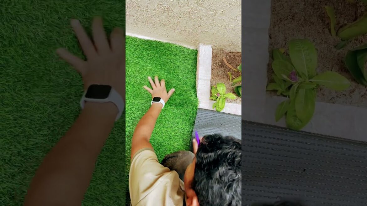 Inspiring Home Garden Design Tips and Trends