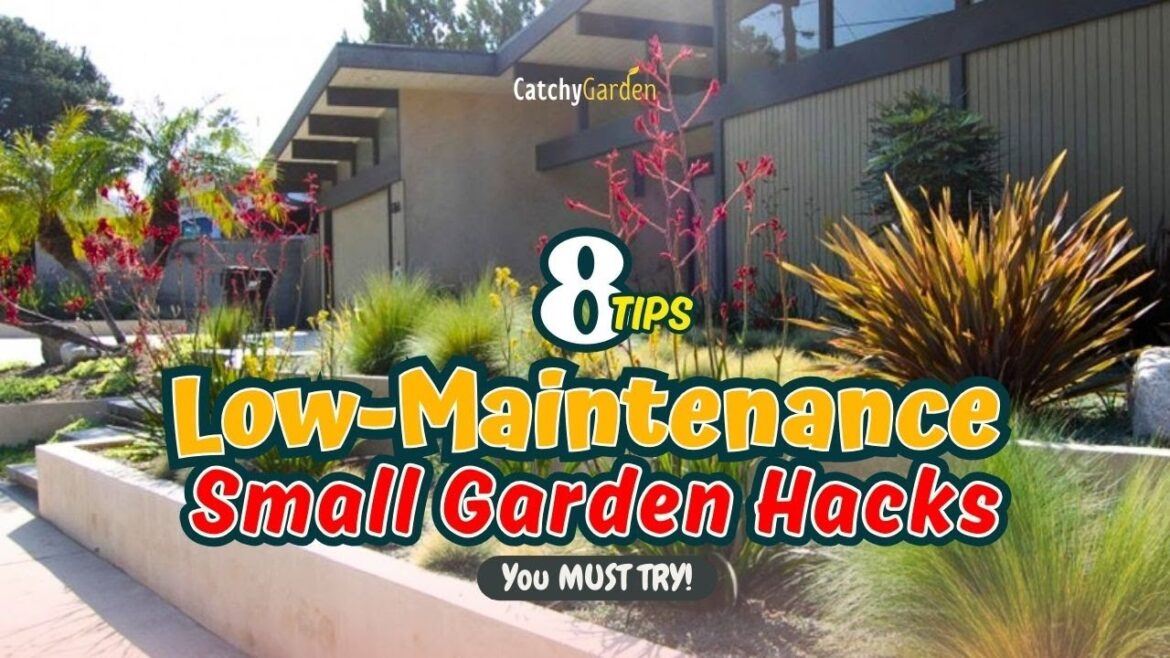 8 GENIUS Low-Maintenance Small Garden Hacks You MUST TRY! 🏡🌱😱