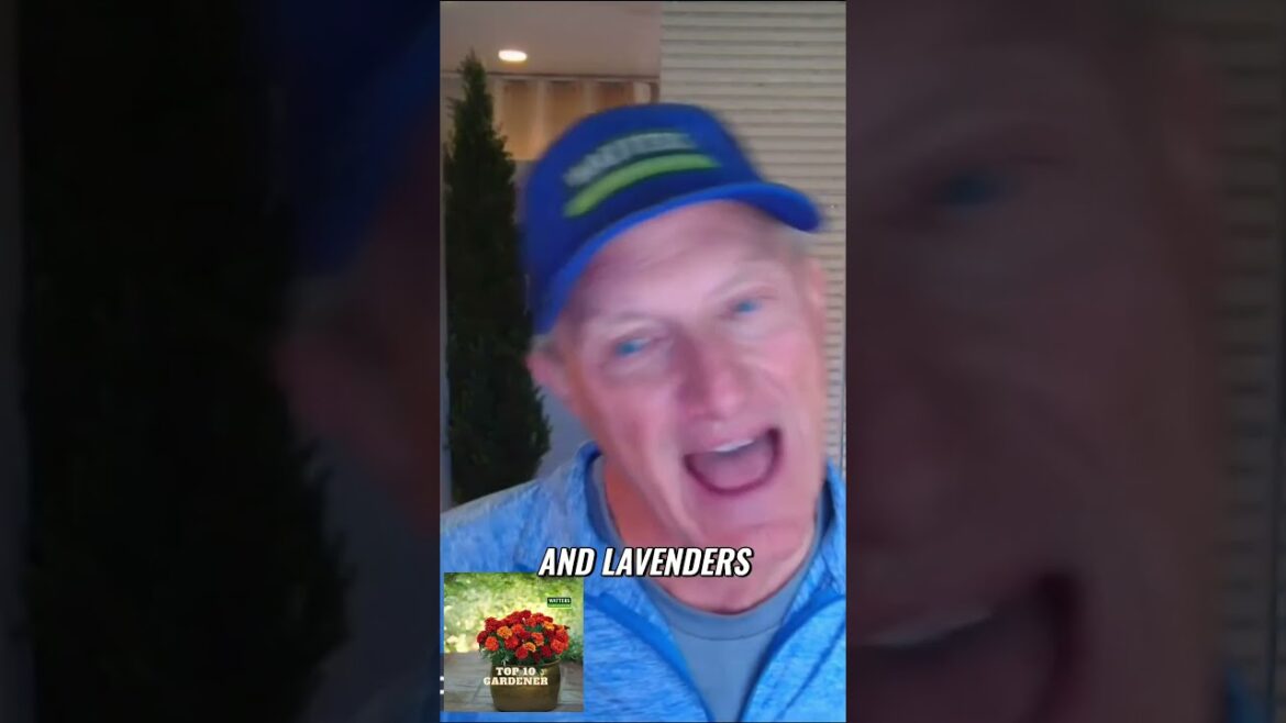 Planting Season Planting Season