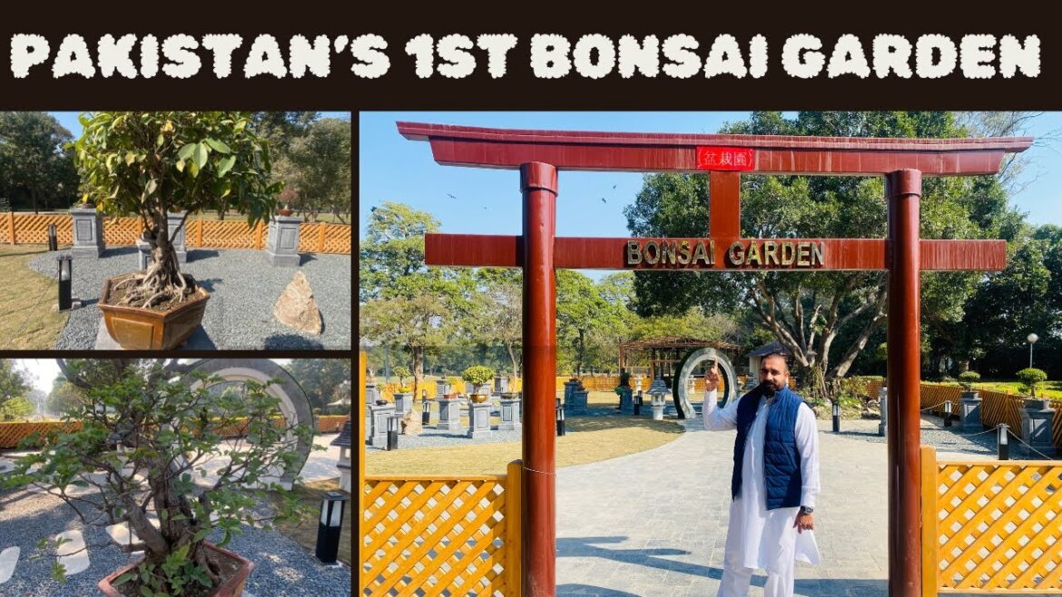 Pakistan’s 1st Bonsai garden | Bonsai garden at Pakistan