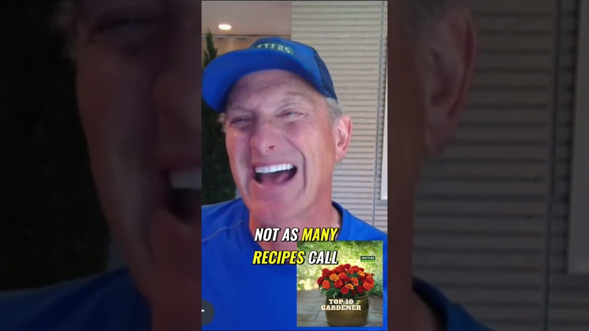 Grilled Rosemary Recipes s