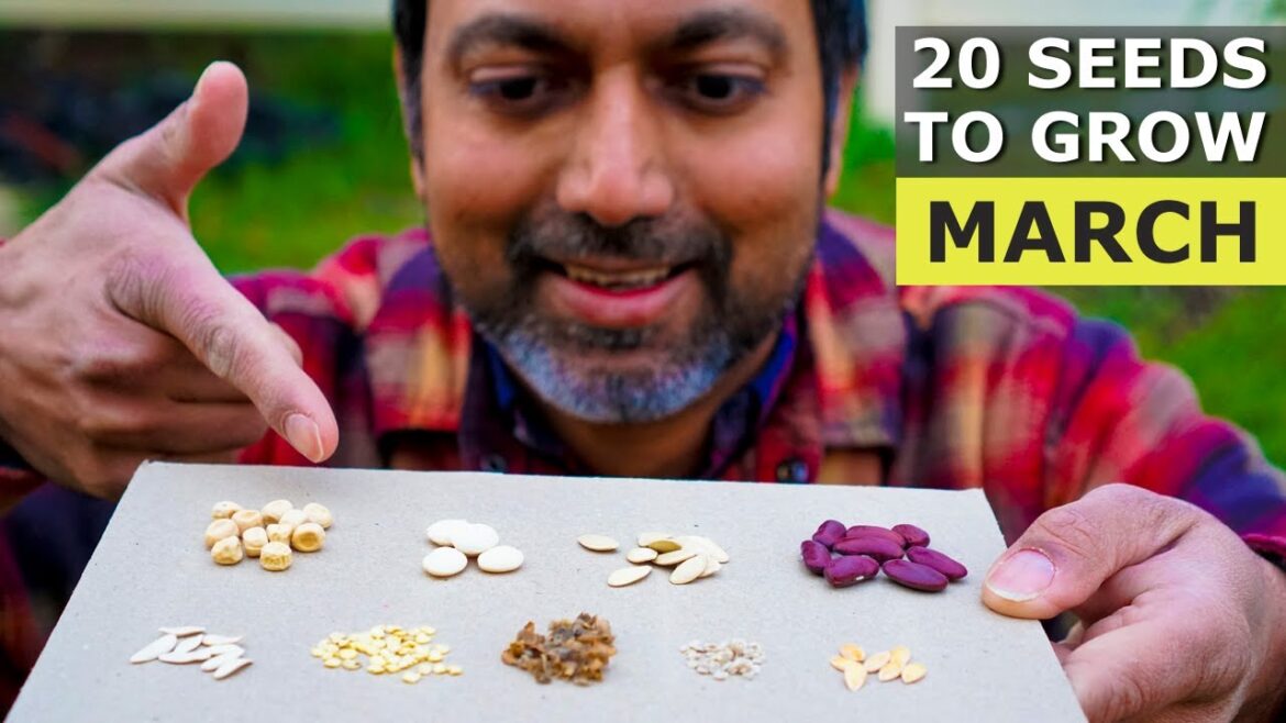 20 Seeds You MUST Grow in March 20 Seeds You MUST Grow in March