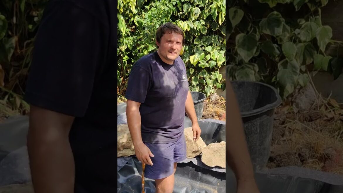 Pond transformation- pond fix - natural pond #garden #summer #gardening #backyard #landscaping