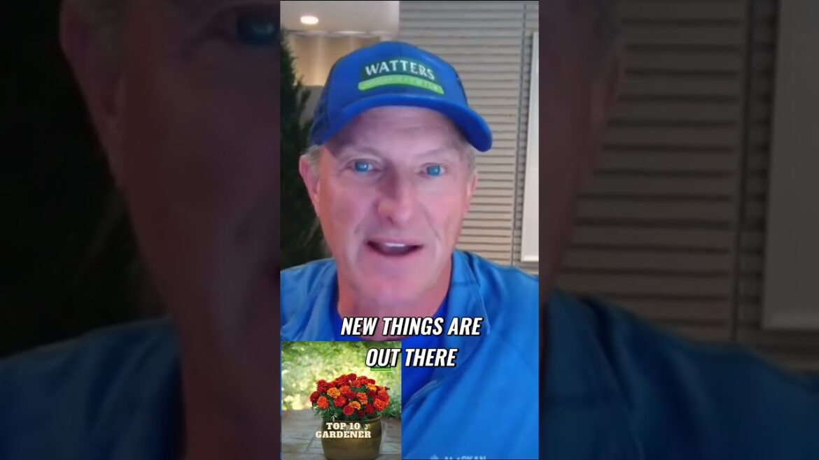 Wow Your Senses at the Garden Center