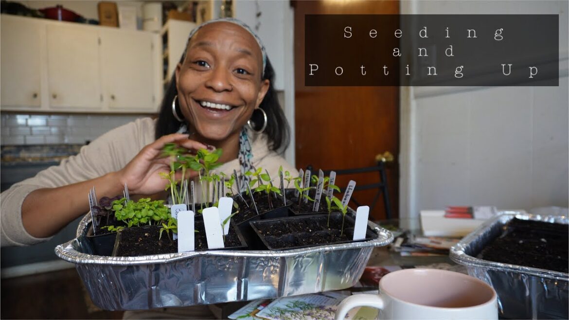 CHIT CHAT Plant Seeds and Up Pot Seedlings With Me (Vloggish)