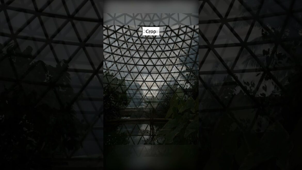 Recent photo from the Japanese Garden inside Mt Cootha Botanical Gardens. .#lightroom #photography