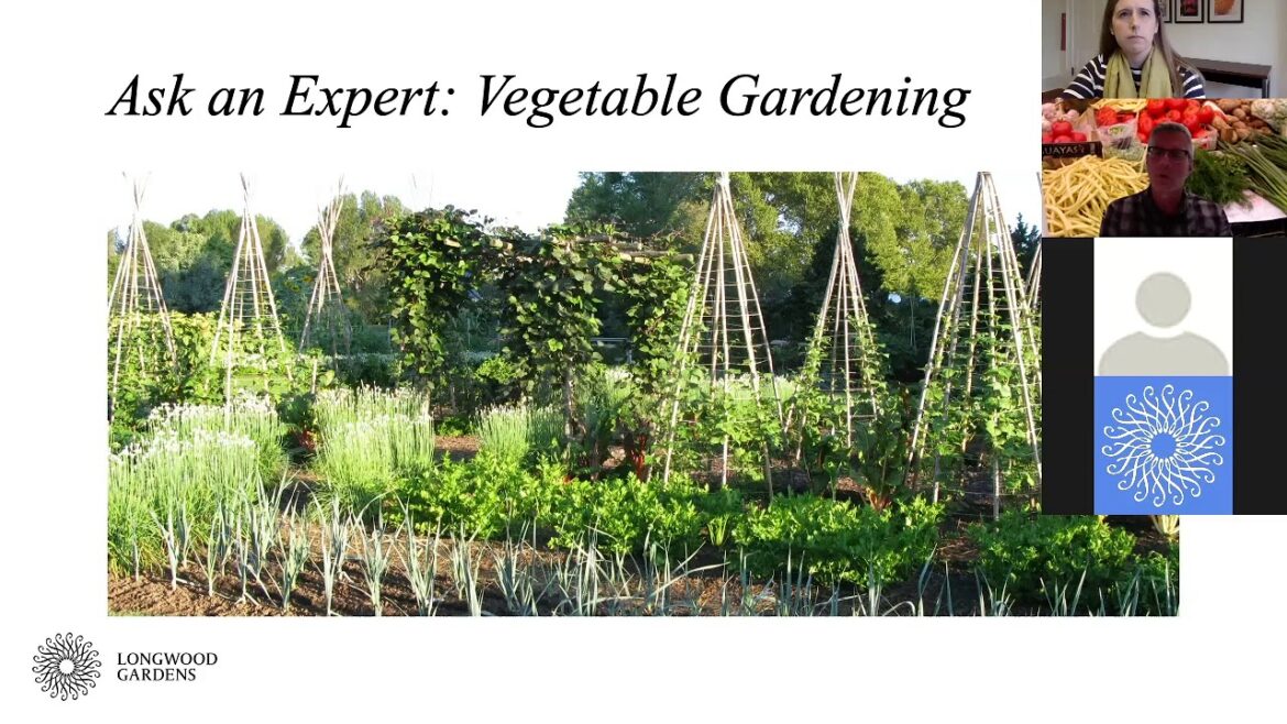 Ask the Expert: Vegetable Gardening