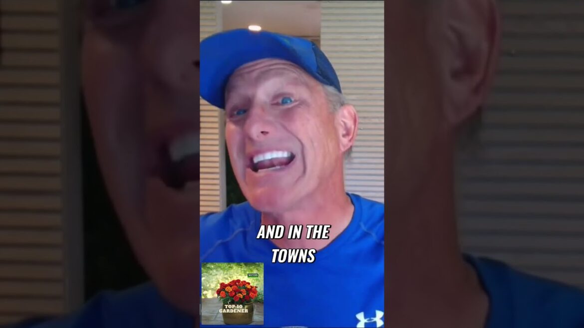 Mountain Bounty: The Arizona High Country Gardener's Guide