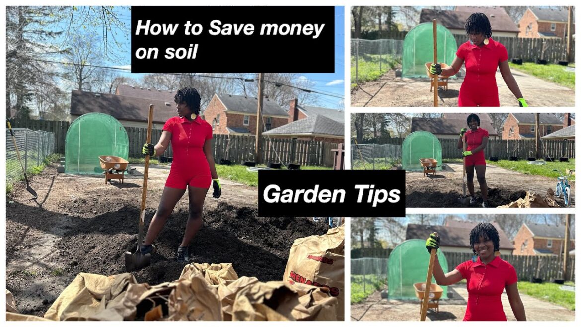 How to Start a Garden | Garden Tips | Save Money On Soil How to Start a Garden | Garden Tips | Save Money On Soil