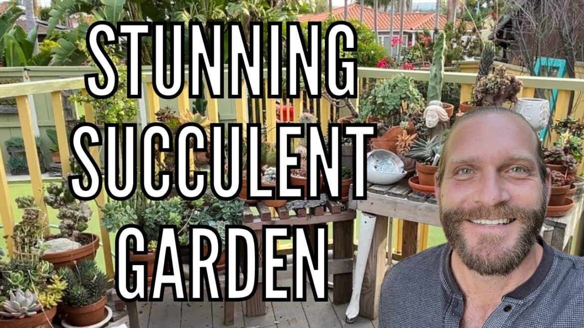 Stunning Succulent Garden | Drought Tolerant Plants | Container Gardening | California Garden Tour Stunning Succulent Garden | Drought Tolerant Plants | Container Gardening | California Garden Tour