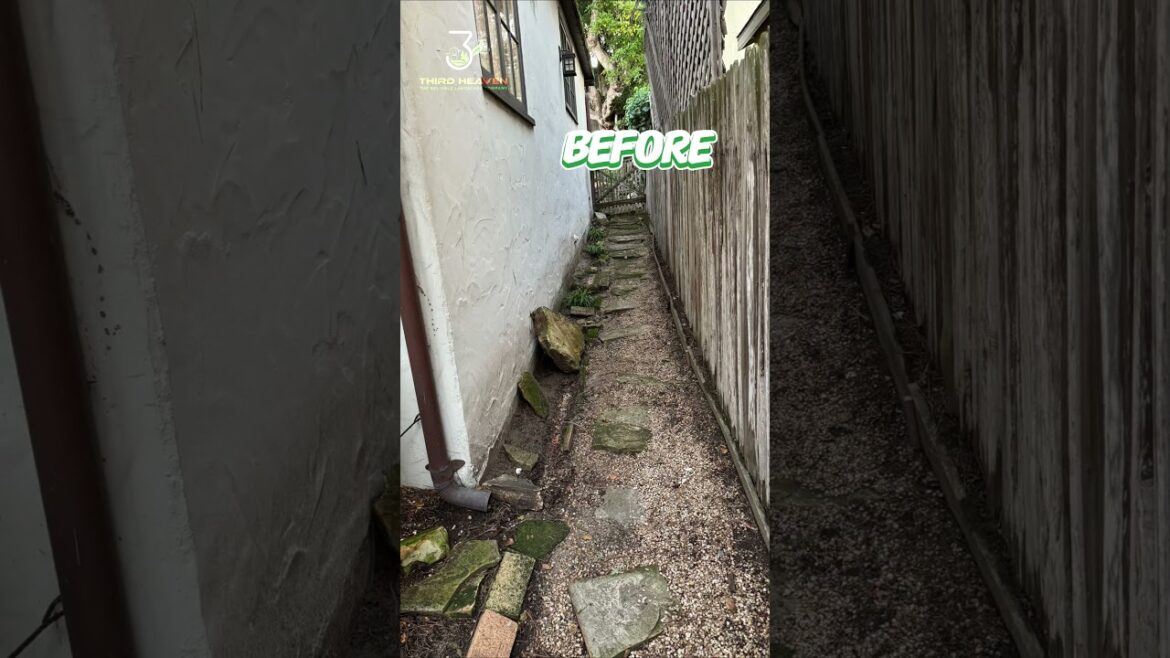 ✨Budget-Friendly Yard Makeover: A $6000 Transformation Without Breaking the Bank✨ ✨Budget-Friendly Yard Makeover: A $6000 Transformation Without Breaking the Bank✨