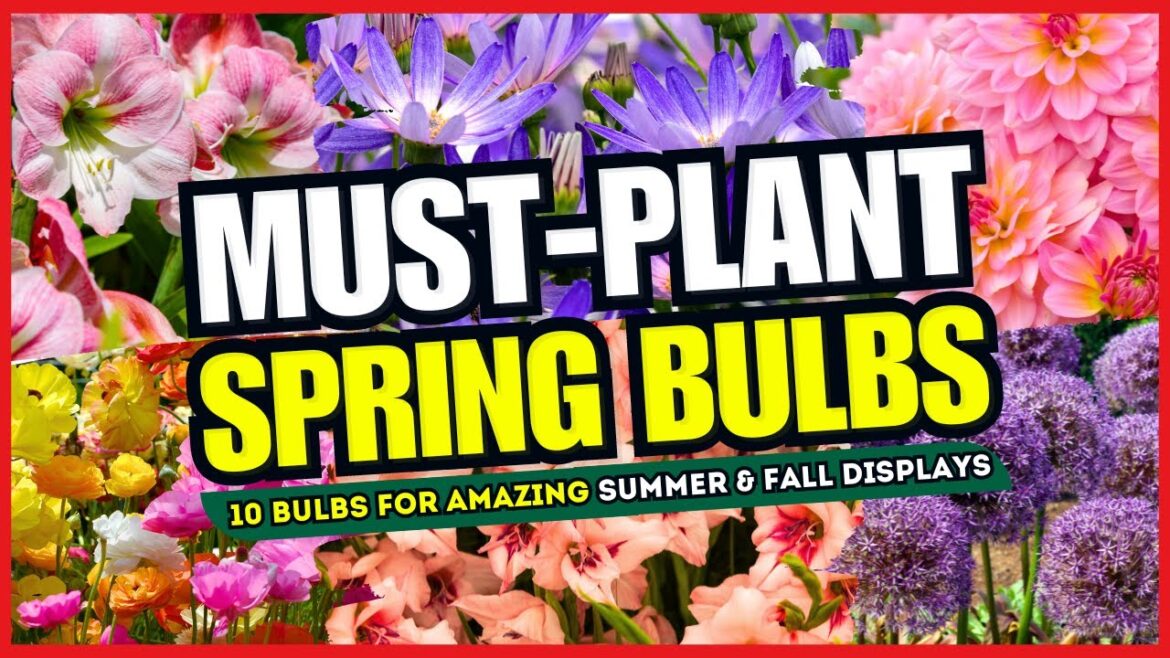 ✨ 10 Spring Bulbs for Show-Stopping Summer & Fall Flowers! 🌞 PLANT NOW, BLOOM LATER! 🌼