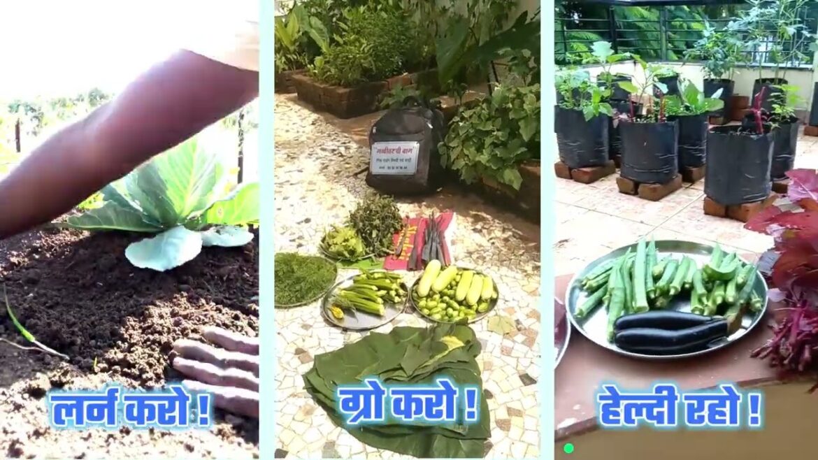 सिखोगो नही तो जिओ गे कैसे ? ORGANIC VEGETABLE GARDENING COURSE I सौ साल जिने का FORMULA