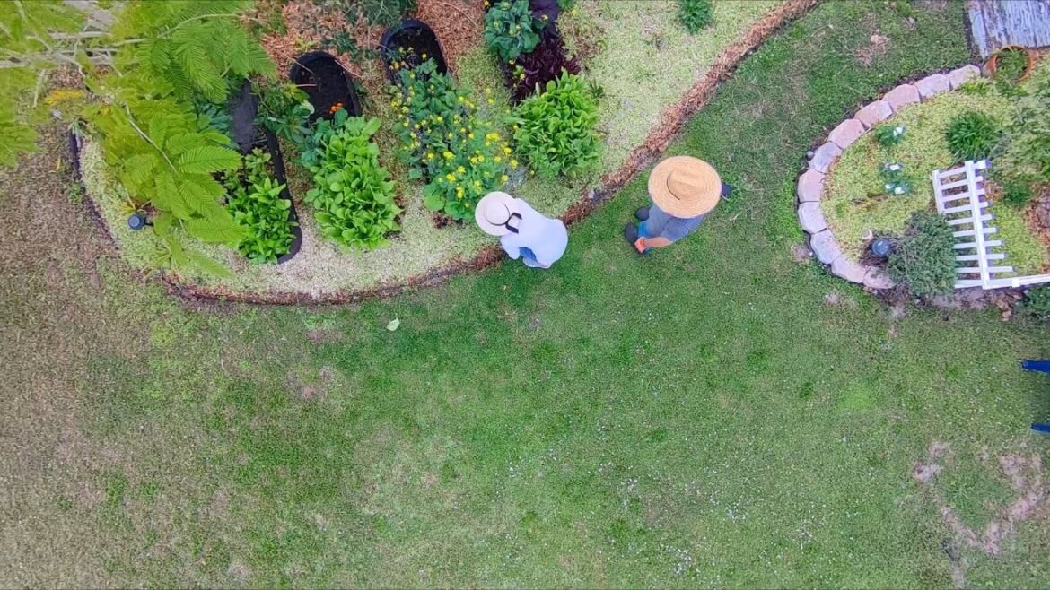 Free Organic Mulch #gardentips  #shorts