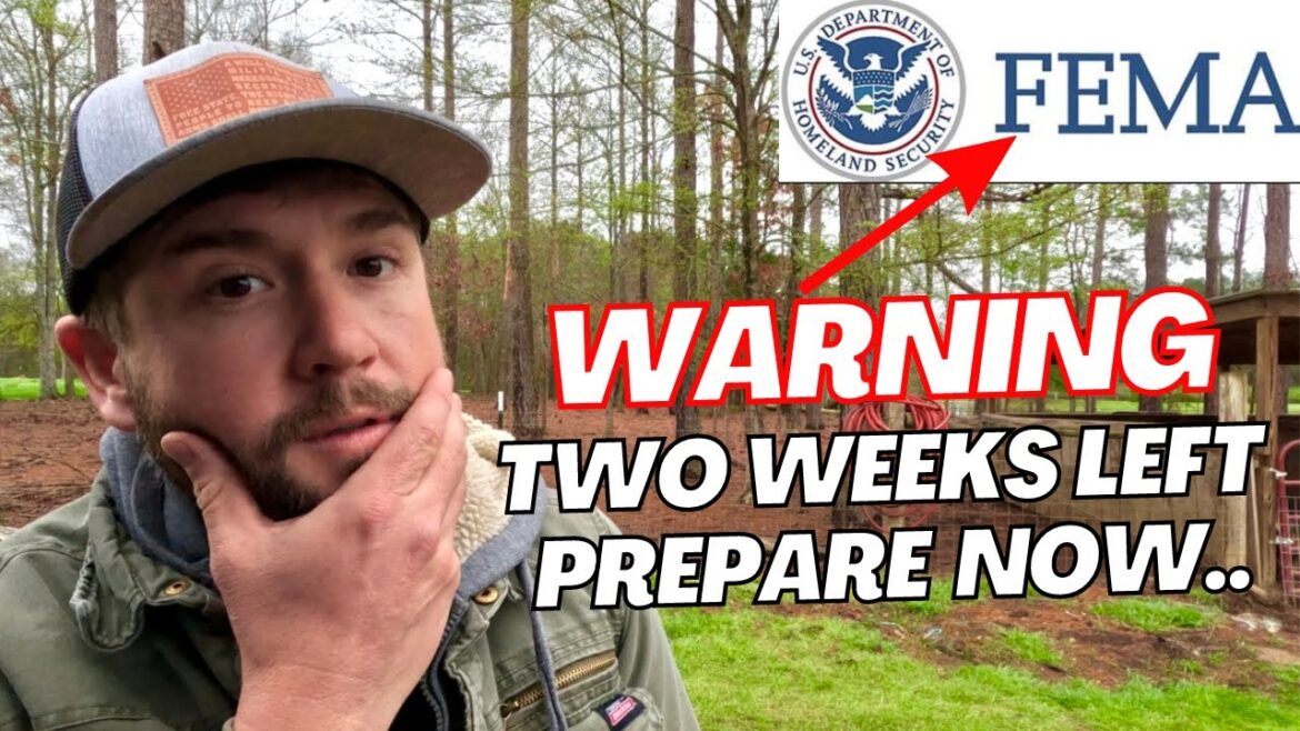 WARNING Declared.. Why Is Everyone WORRIED About APRIL 8 | My Personal Opinion