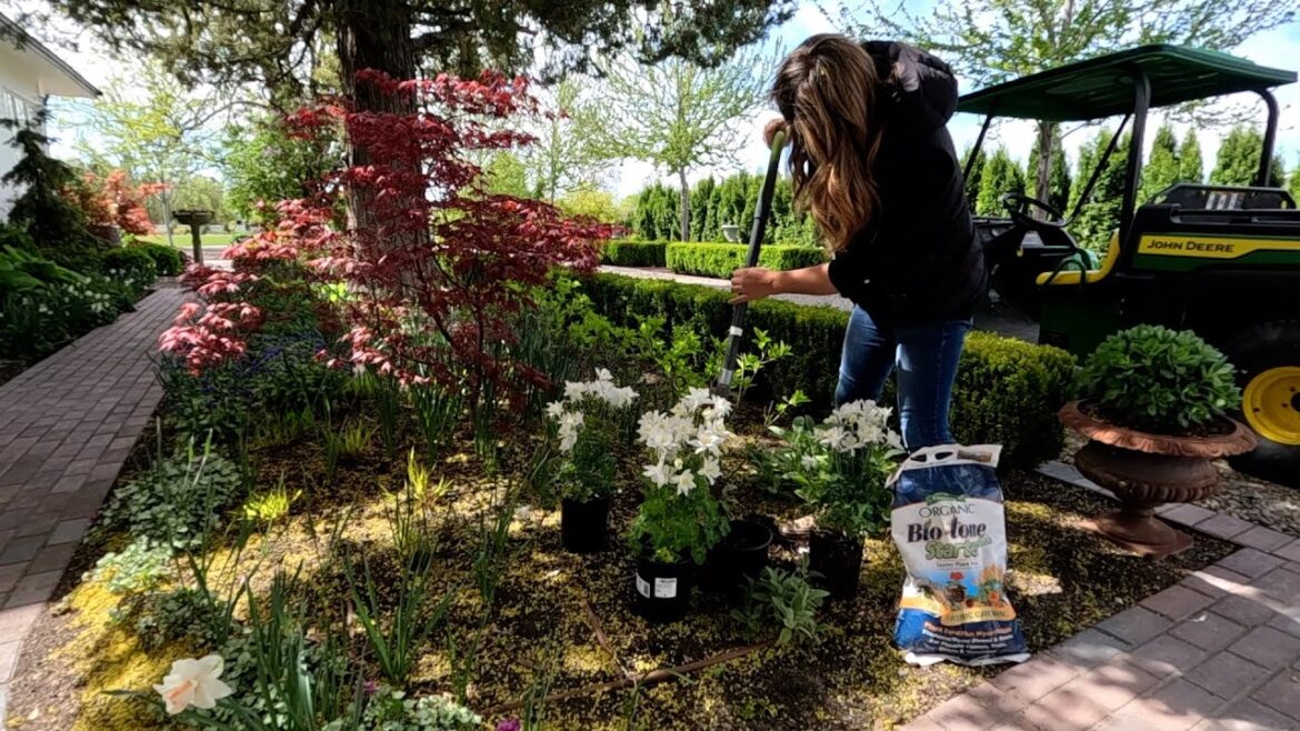 Garden Answer: Planting a Random Assortment of Things! 🌿🌿🌿 // Garden Answer Planting a Random Assortment of Things! 🌿🌿🌿 // Garden Answer