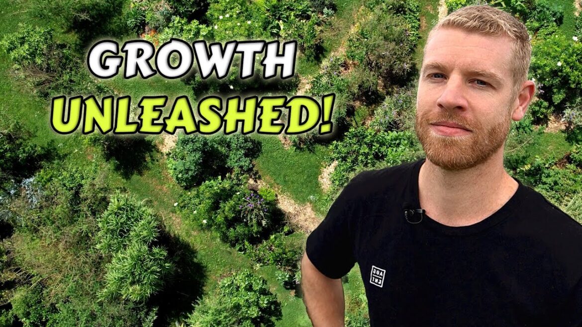 Inspiring Food Forest Tour – Turning a Grass Paddock into an Edible Oasis! Inspiring Food Forest Tour - Turning a Grass Paddock into an Edible Oasis!