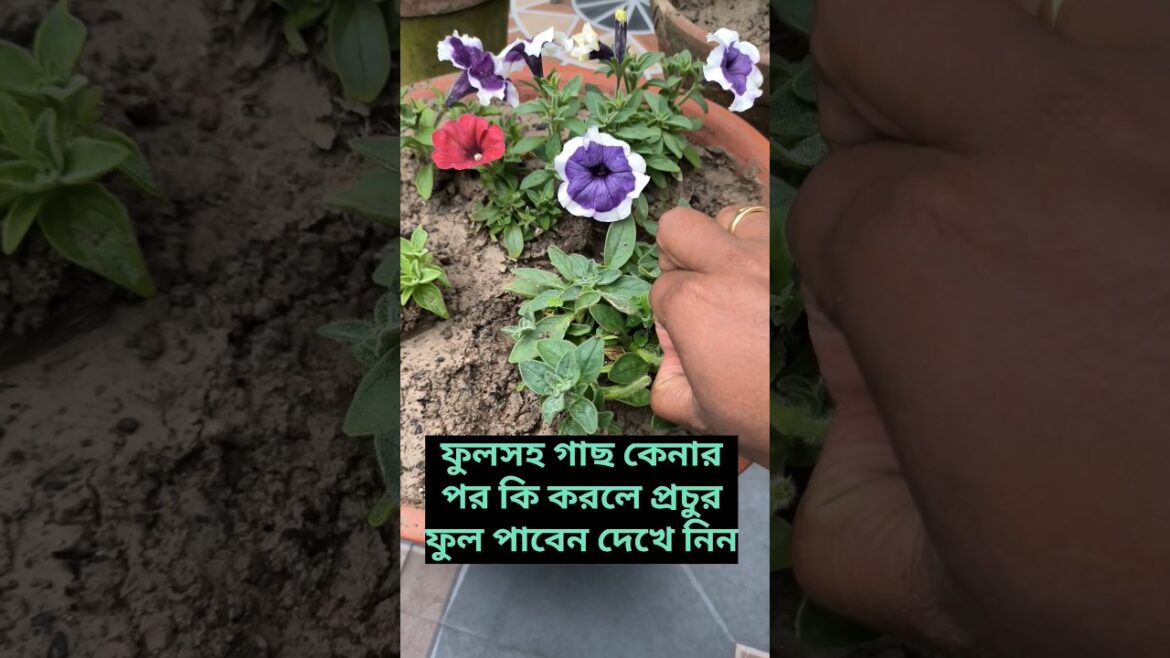 Gardening Tips 147 | #gardeningtips #gardeningtipsandtricks #shortsfeed