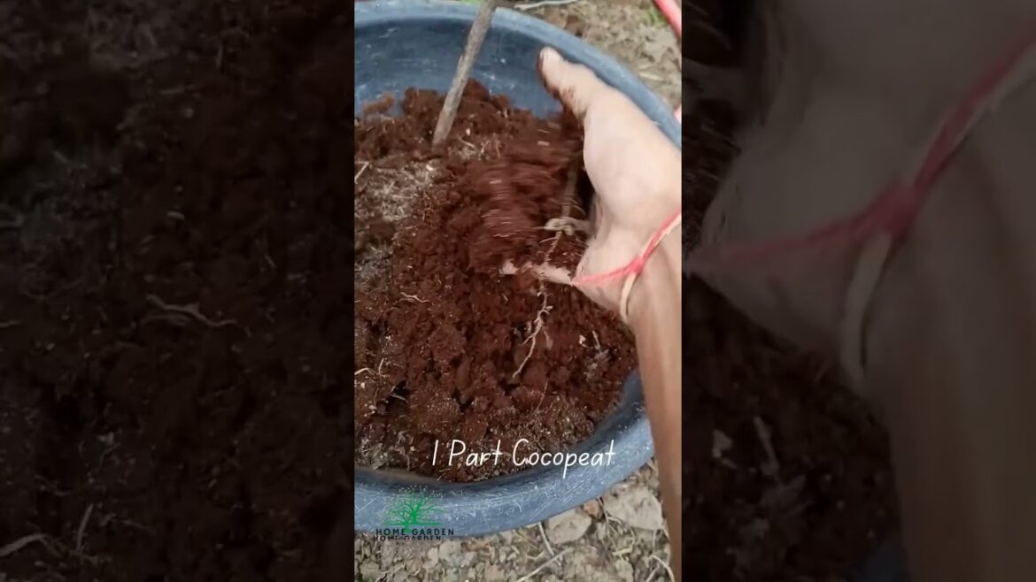 How to Make perfect Soil Mix in Summer #soil #viral #gardening #farming
