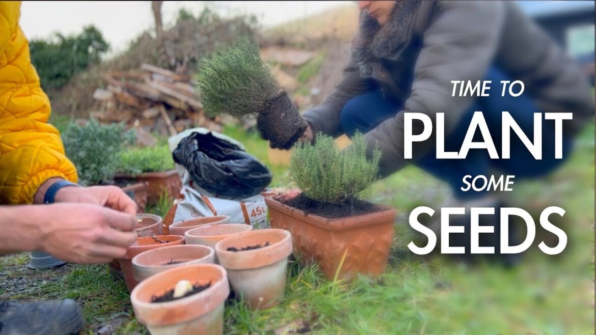 070 || A Bit of Gardening 070 || A Bit of Gardening